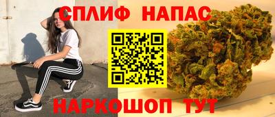 не бодяженный Гатчина