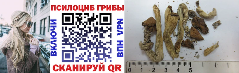 Галлюциногенные грибы ЛСД  купить закладку  Зеленодольск 