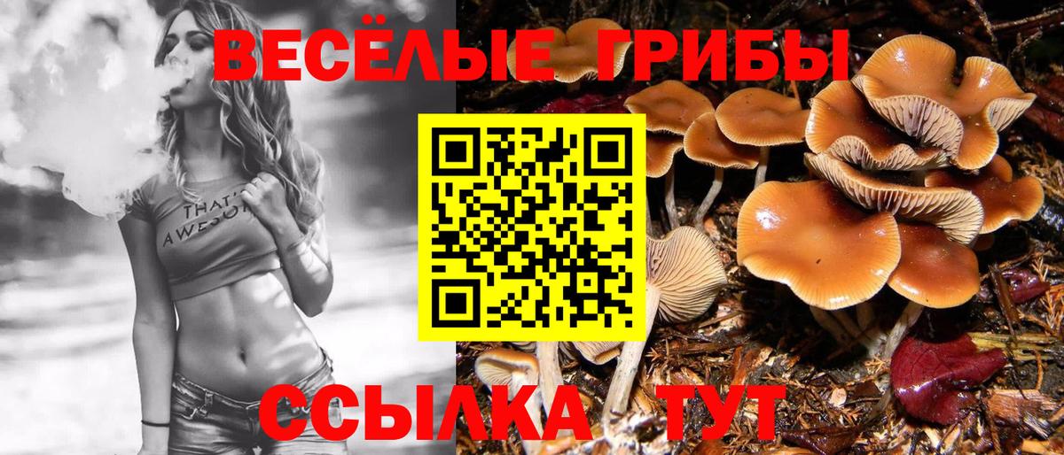 Псилоцибиновые грибы MAGIC MUSHROOMS Зеленодольск