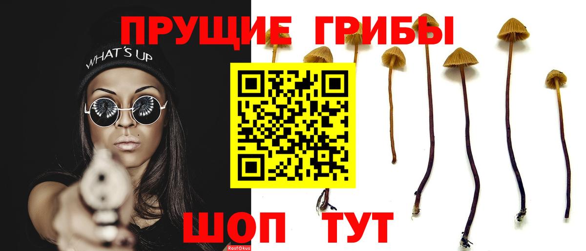 Зеленодольск  Галлюциногенные грибы Psilocybe  Вход с VPN  Псилоцибиновые грибы мицелий 